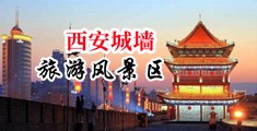 啊啊啊啊啊啊操死我了大鸡巴视频中国陕西-西安城墙旅游风景区