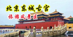 乡村大屌中国北京-东城古宫旅游风景区